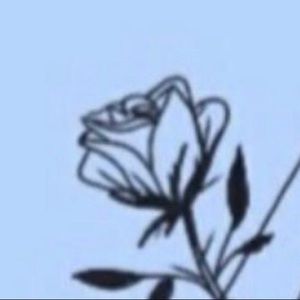 Meet your Posher, Janeice